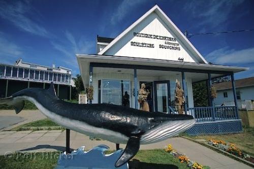 Gite Au Vieux Pommier Tadoussac Exterior photo